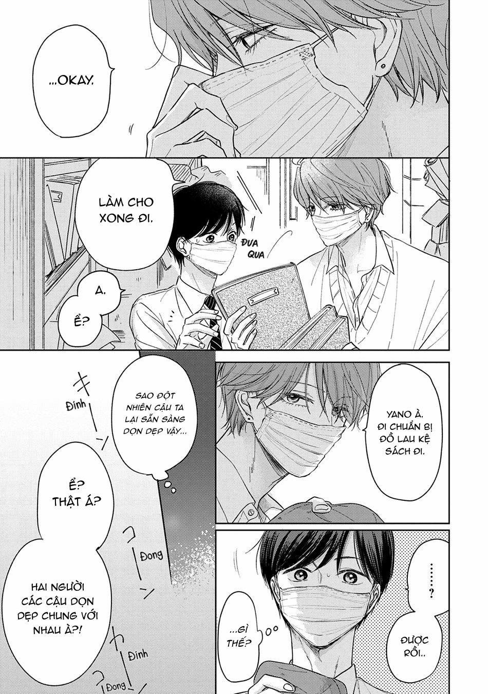 Pittosporum 2 trang 10