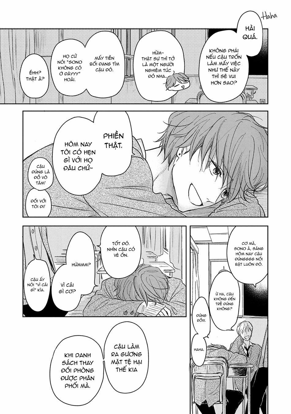 Pittosporum 2 trang 12