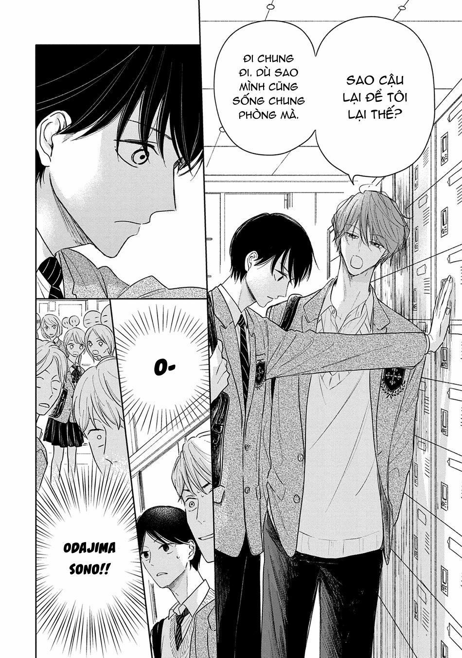 Pittosporum 2 trang 3