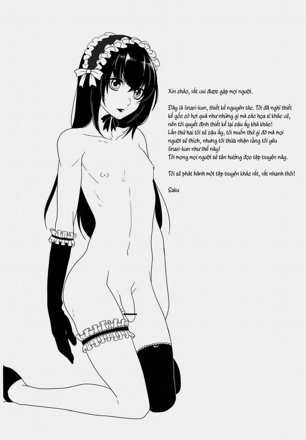 Pittosporum 24 trang 12