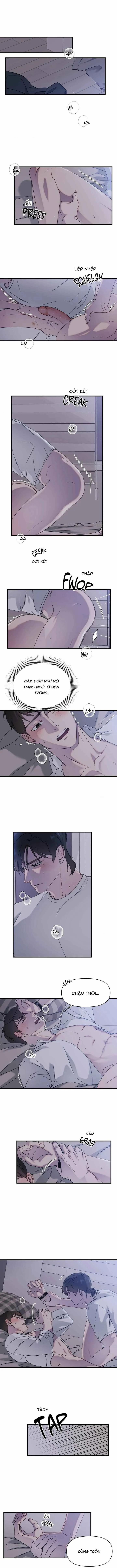 Pizzicato! 8 trang 0