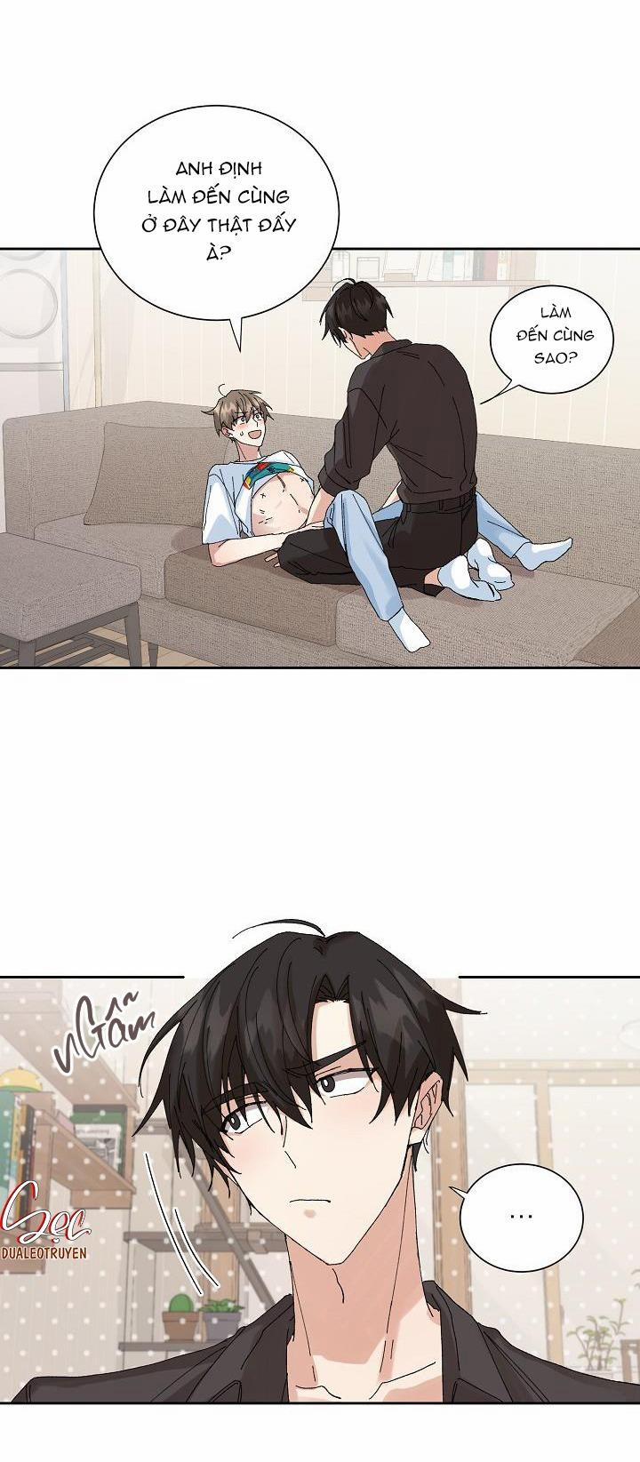 PLACEBO CRUSH 17 NGOẠI TRUYỆN 2 trang 8