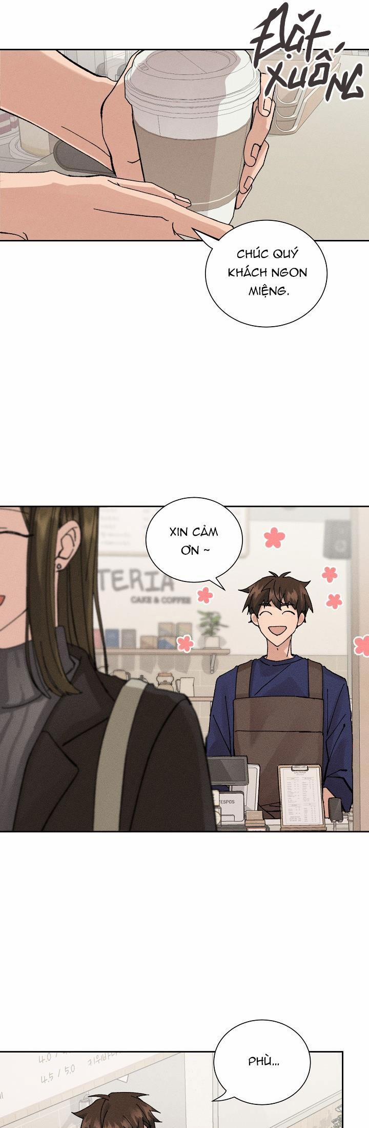 PLACEBO CRUSH 2 trang 0