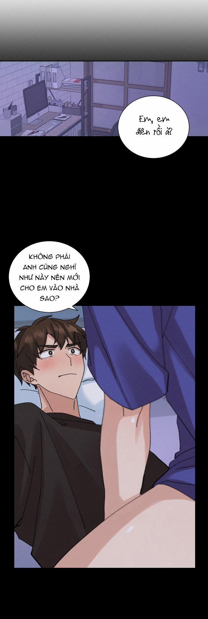 PLACEBO CRUSH 3 trang 0