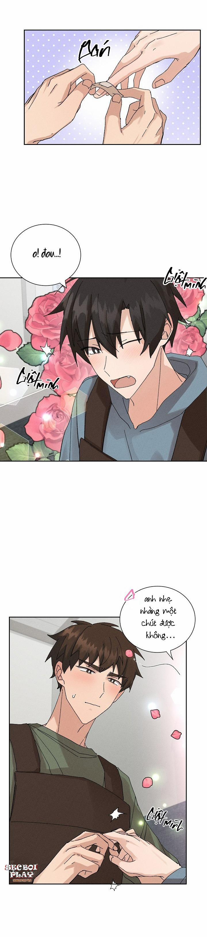 PLACEBO CRUSH 7 trang 2