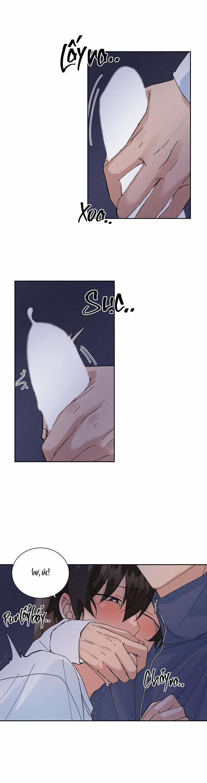 PLACEBO CRUSH 8 trang 21