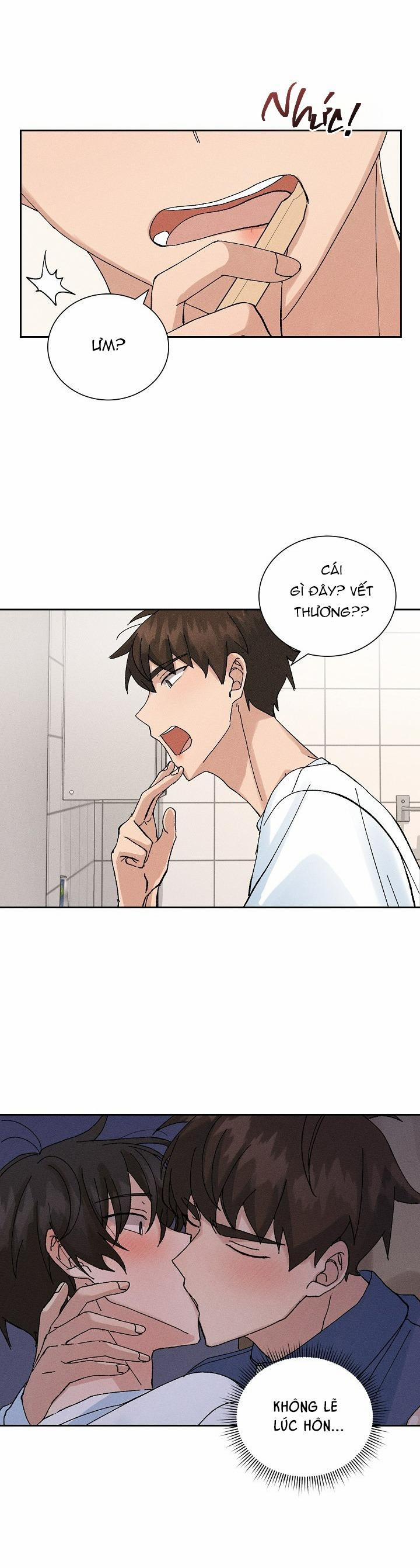 PLACEBO CRUSH 9 trang 1