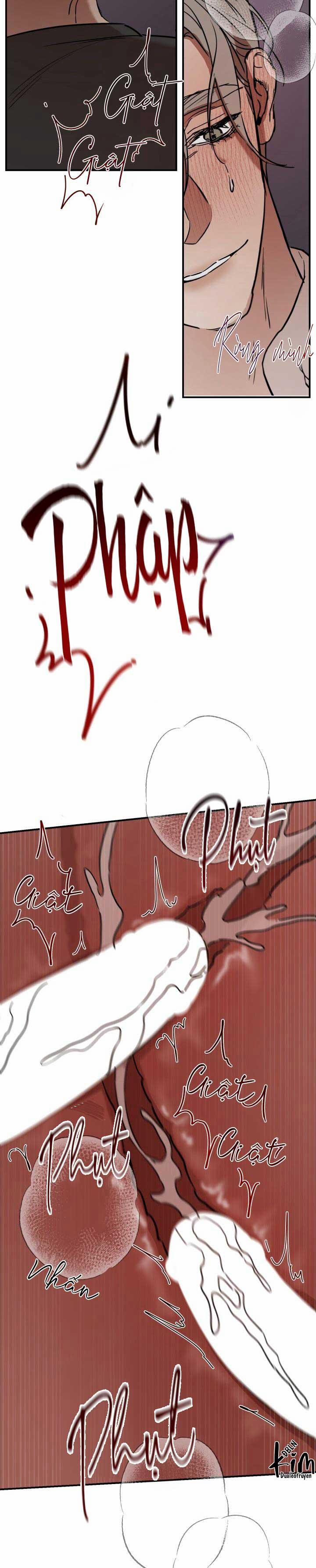 Playback 7 END trang 17