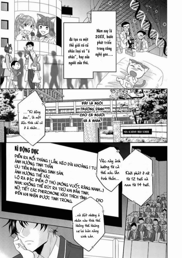 Playboy beast 1 trang 0