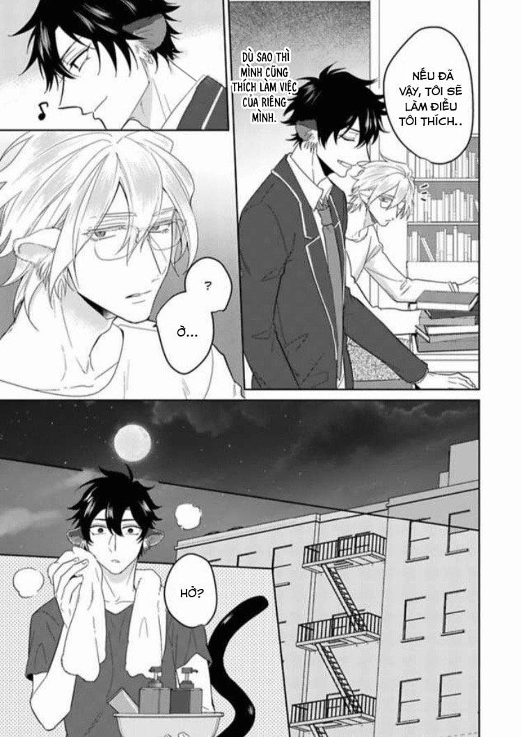 Playboy beast 1 trang 14