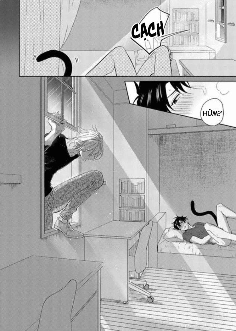 Playboy beast 1 trang 17