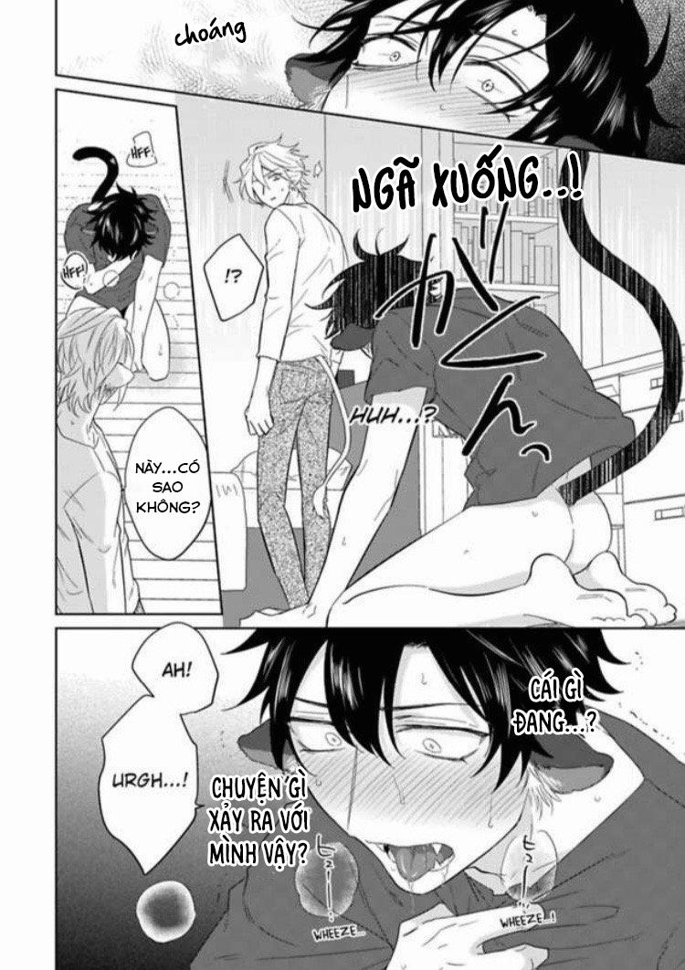 Playboy beast 1 trang 21