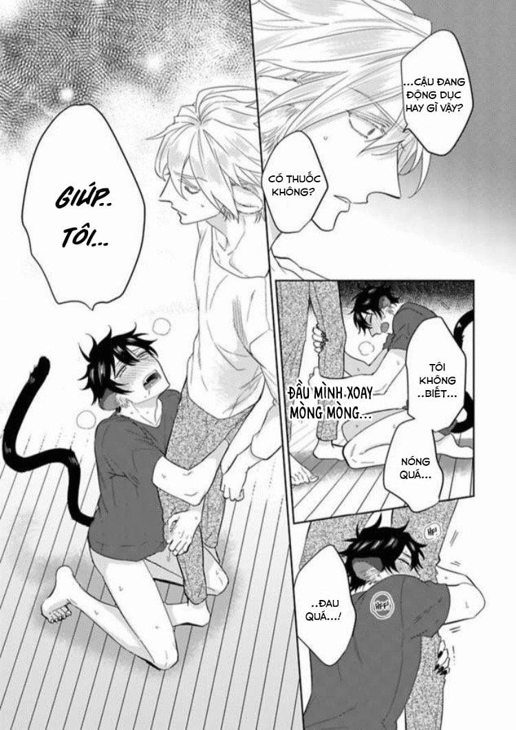 Playboy beast 1 trang 22