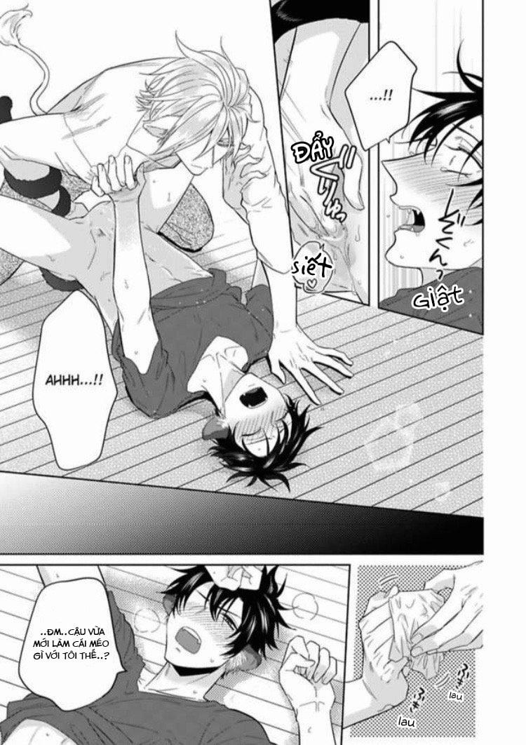 Playboy beast 1 trang 28