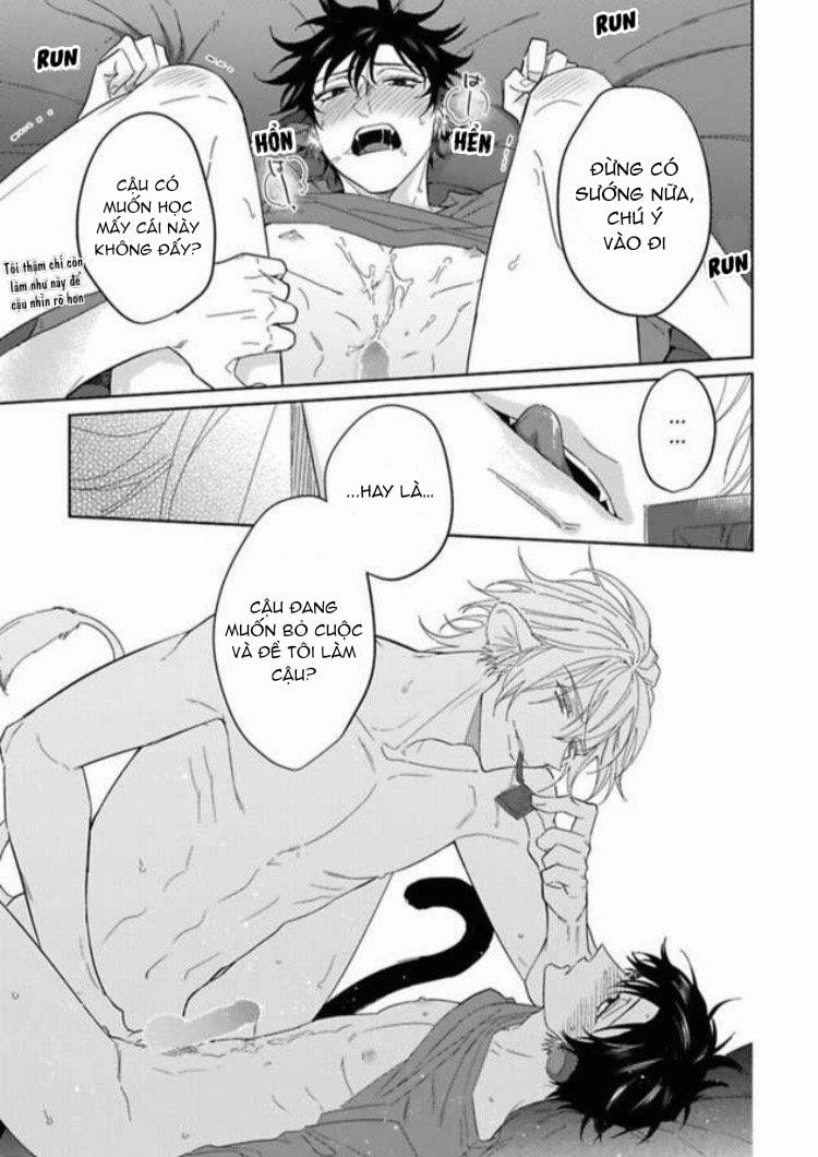 Playboy beast 2 trang 31