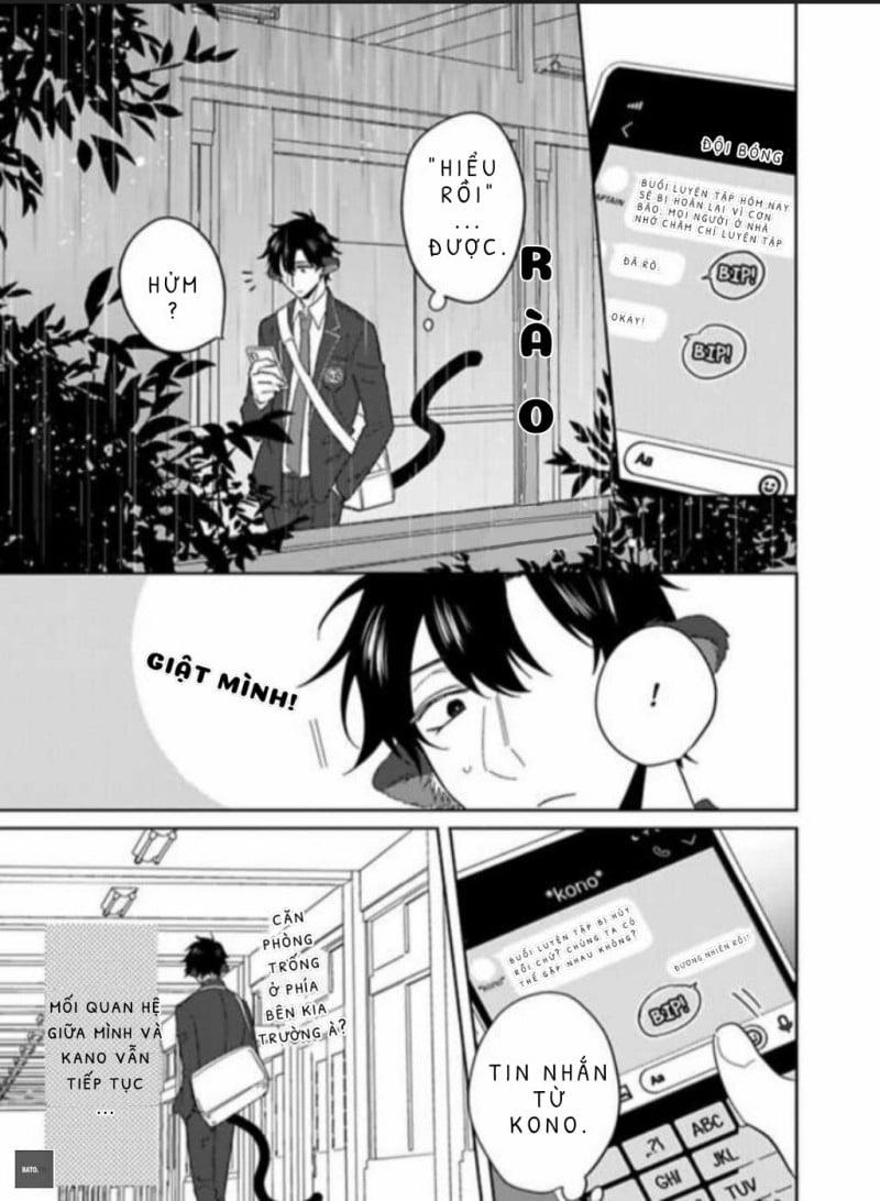 Playboy beast 4 trang 0