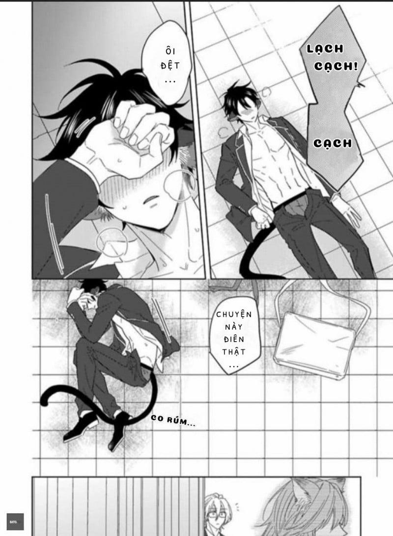 Playboy beast 4 trang 11