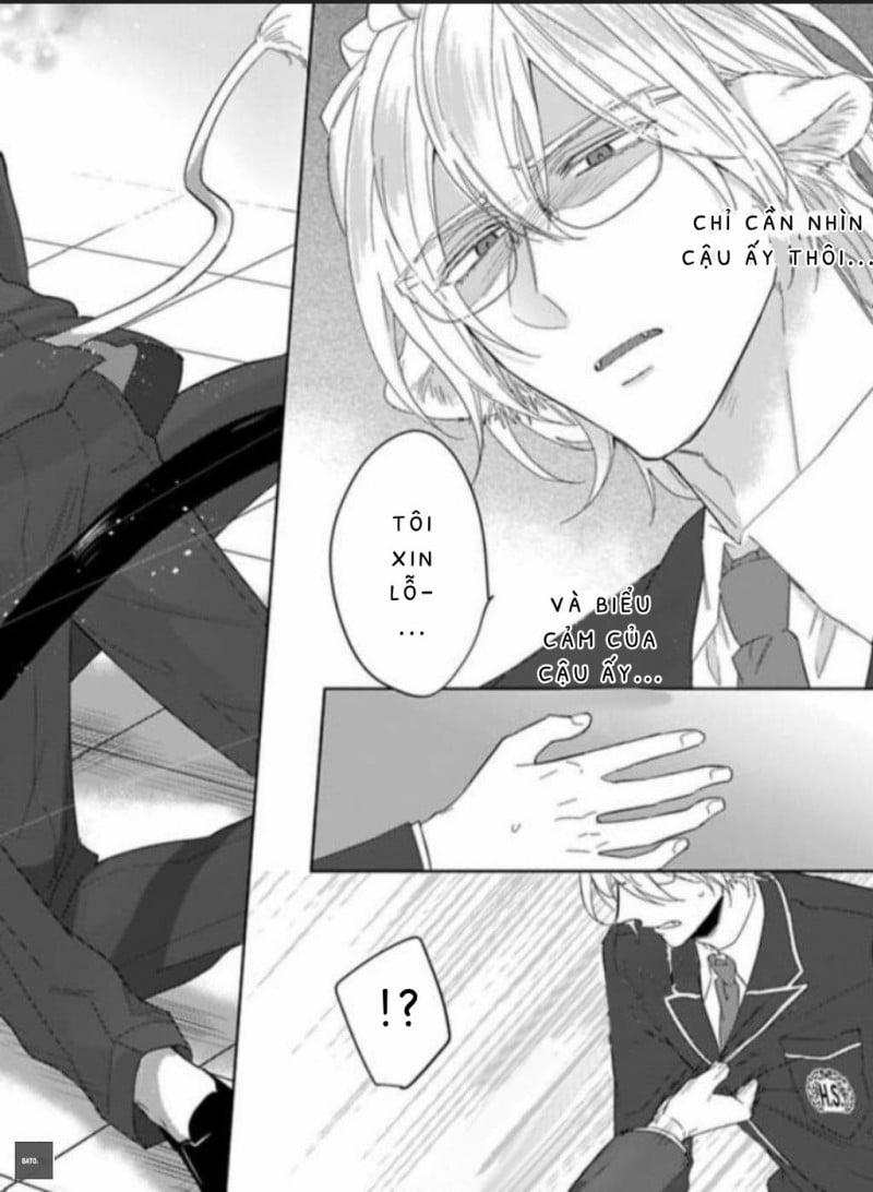 Playboy beast 4 trang 17