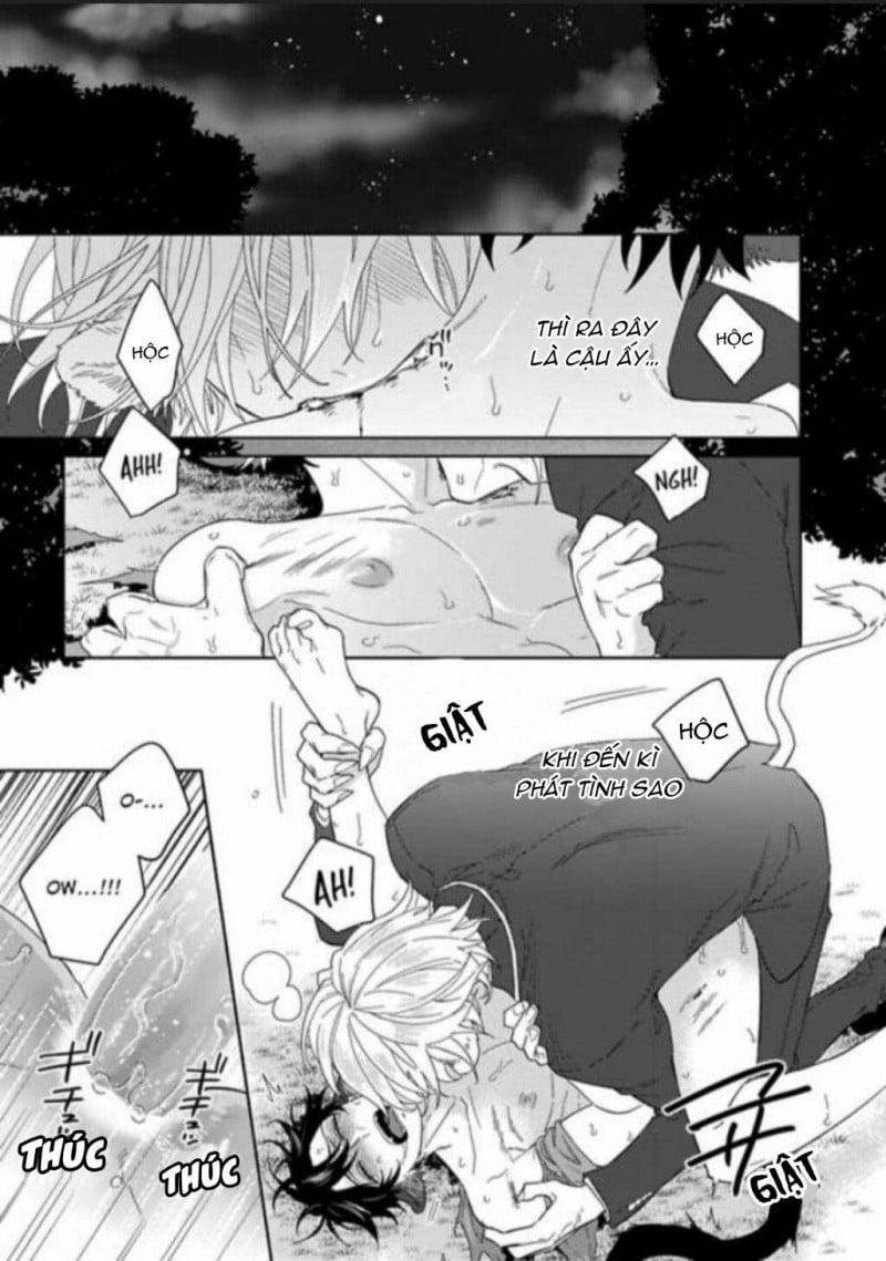 Playboy beast 5 trang 1