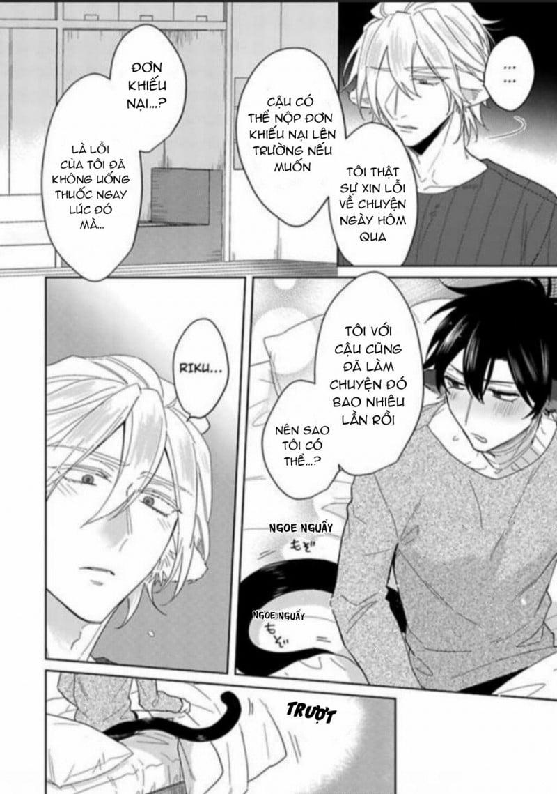 Playboy beast 5 trang 12