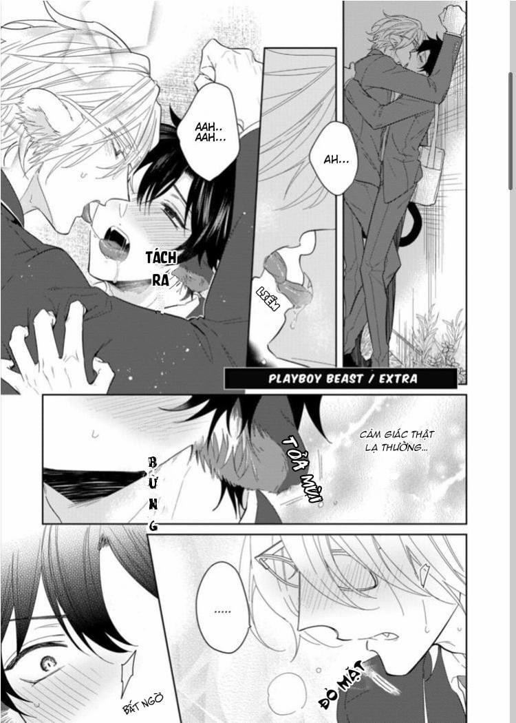 Playboy beast 6 trang 0