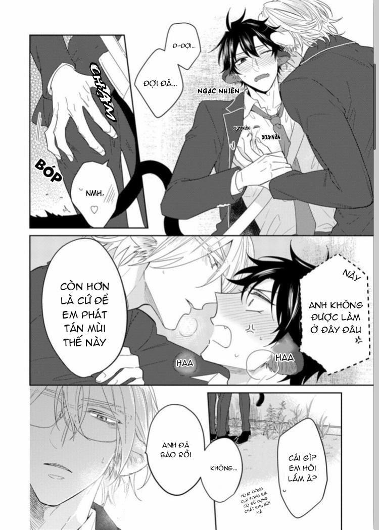 Playboy beast 6 trang 1