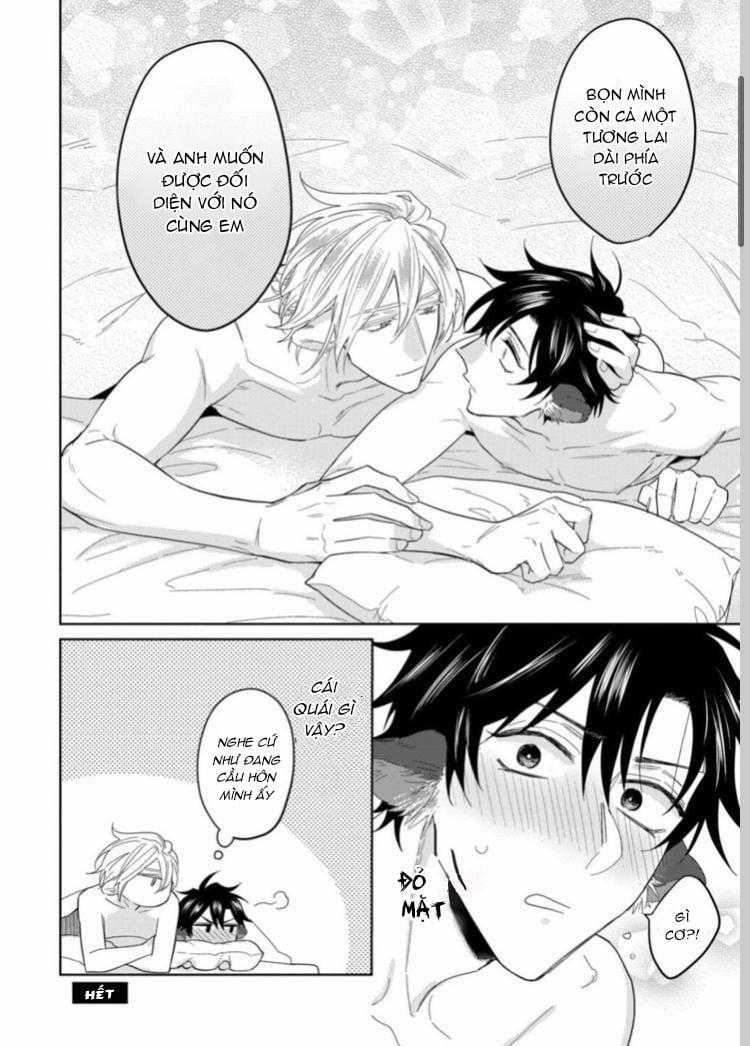 Playboy beast 6 trang 13