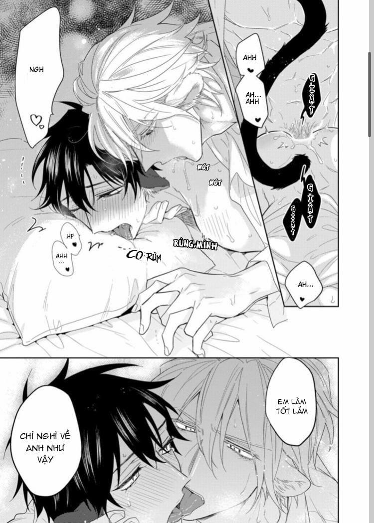 Playboy beast 6 trang 8