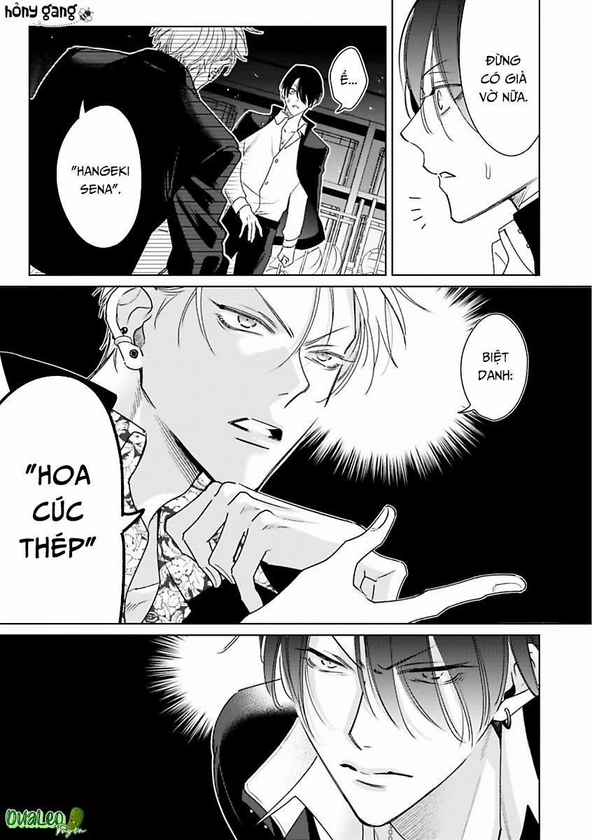 Playboy Huyền Thoại VS Hoa Cúc Thép 1 trang 11