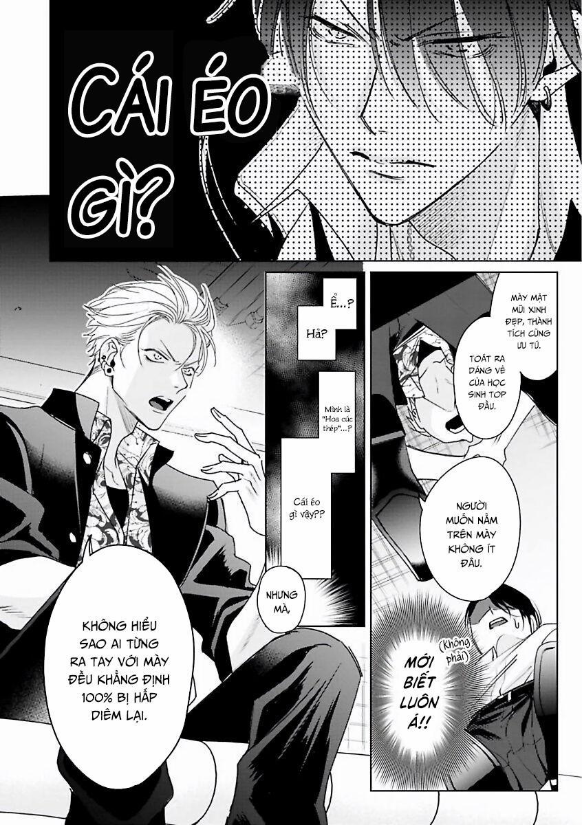 Playboy Huyền Thoại VS Hoa Cúc Thép 1 trang 12