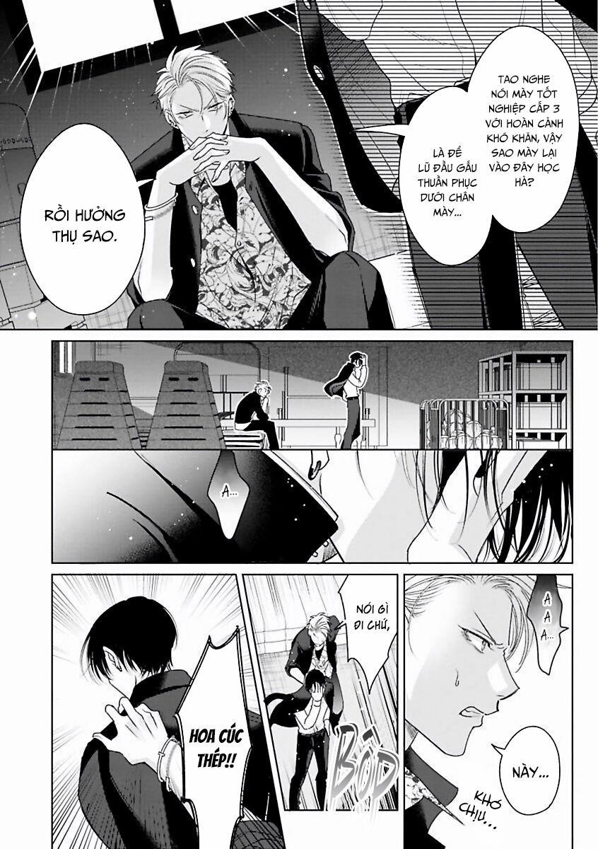 Playboy Huyền Thoại VS Hoa Cúc Thép 1 trang 14