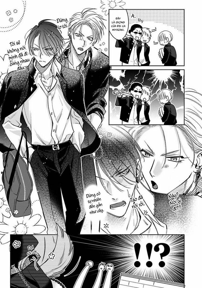 Playboy Huyền Thoại VS Hoa Cúc Thép 3 trang 11