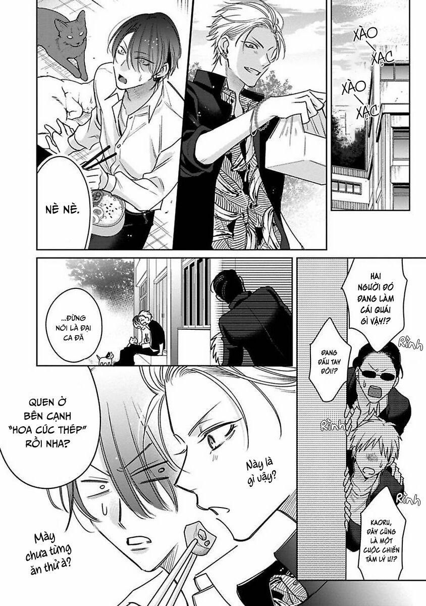 Playboy Huyền Thoại VS Hoa Cúc Thép 3 trang 12