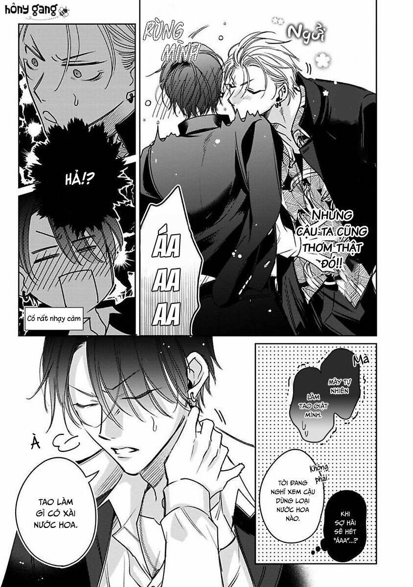 Playboy Huyền Thoại VS Hoa Cúc Thép 3 trang 9