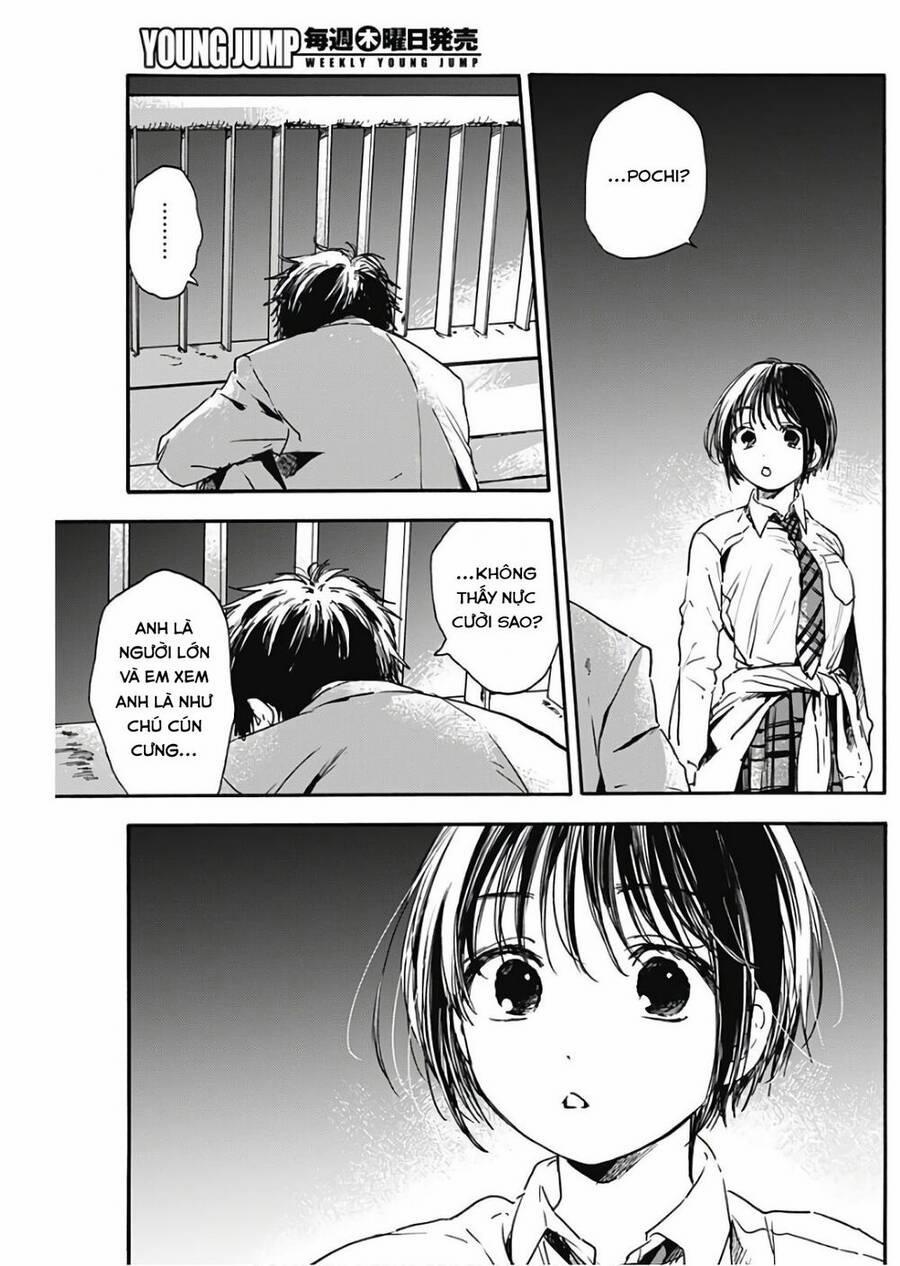 Pochi Gokko 3 trang 10