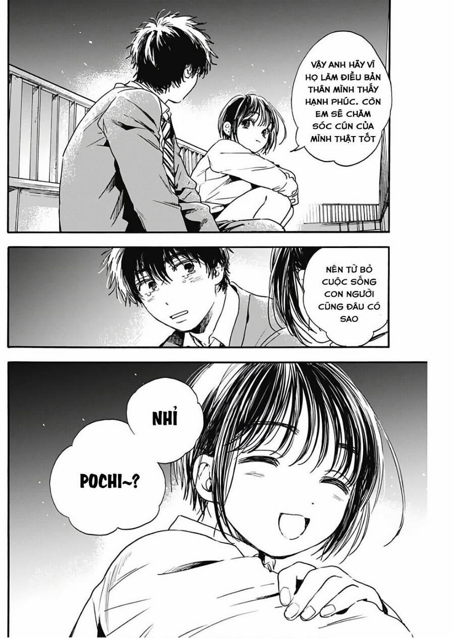 Pochi Gokko 3 trang 15