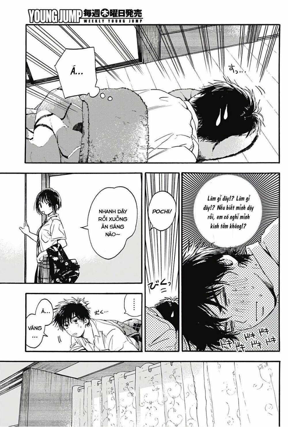 Pochi Gokko 4 trang 3