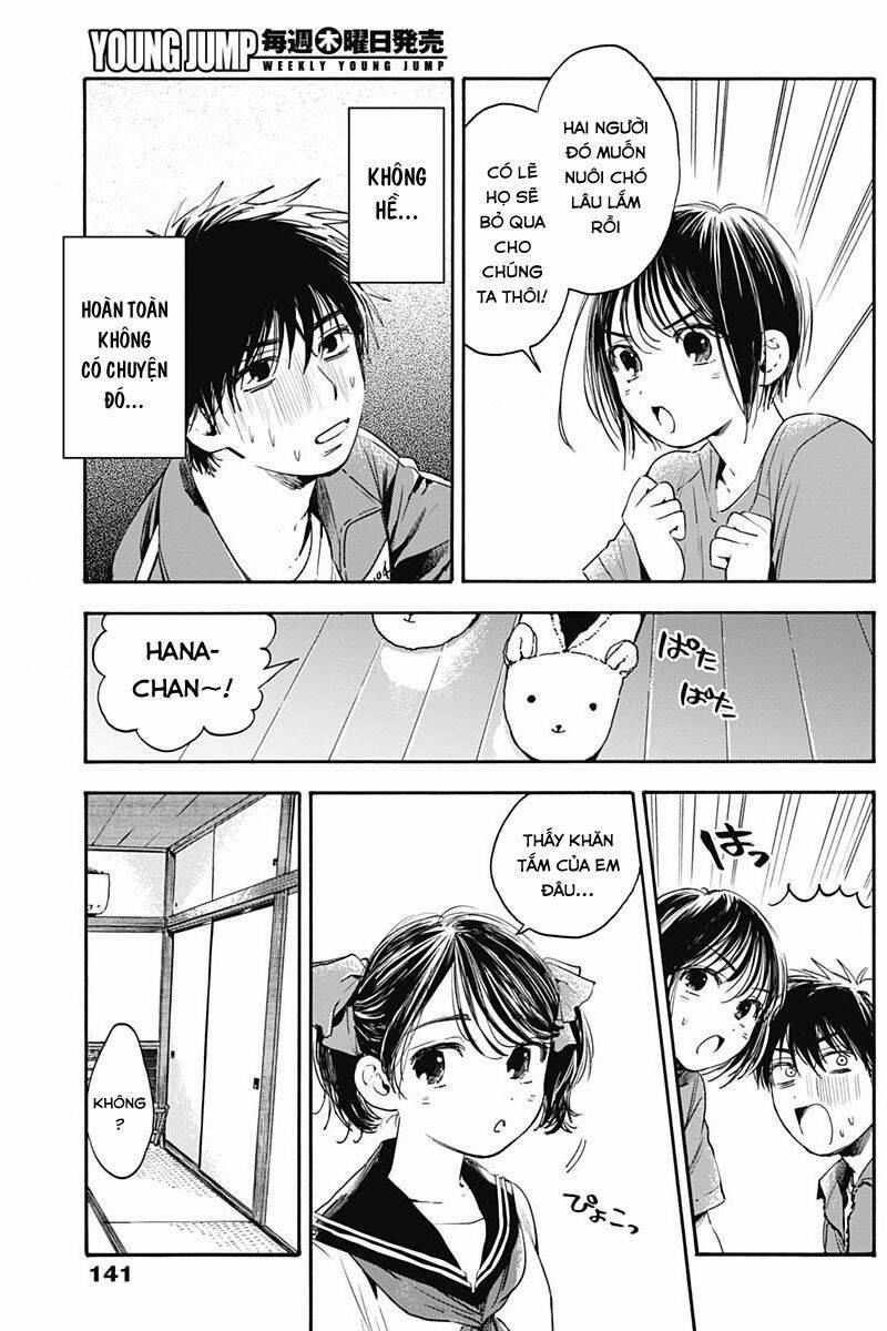 Pochi Gokko 6 trang 16