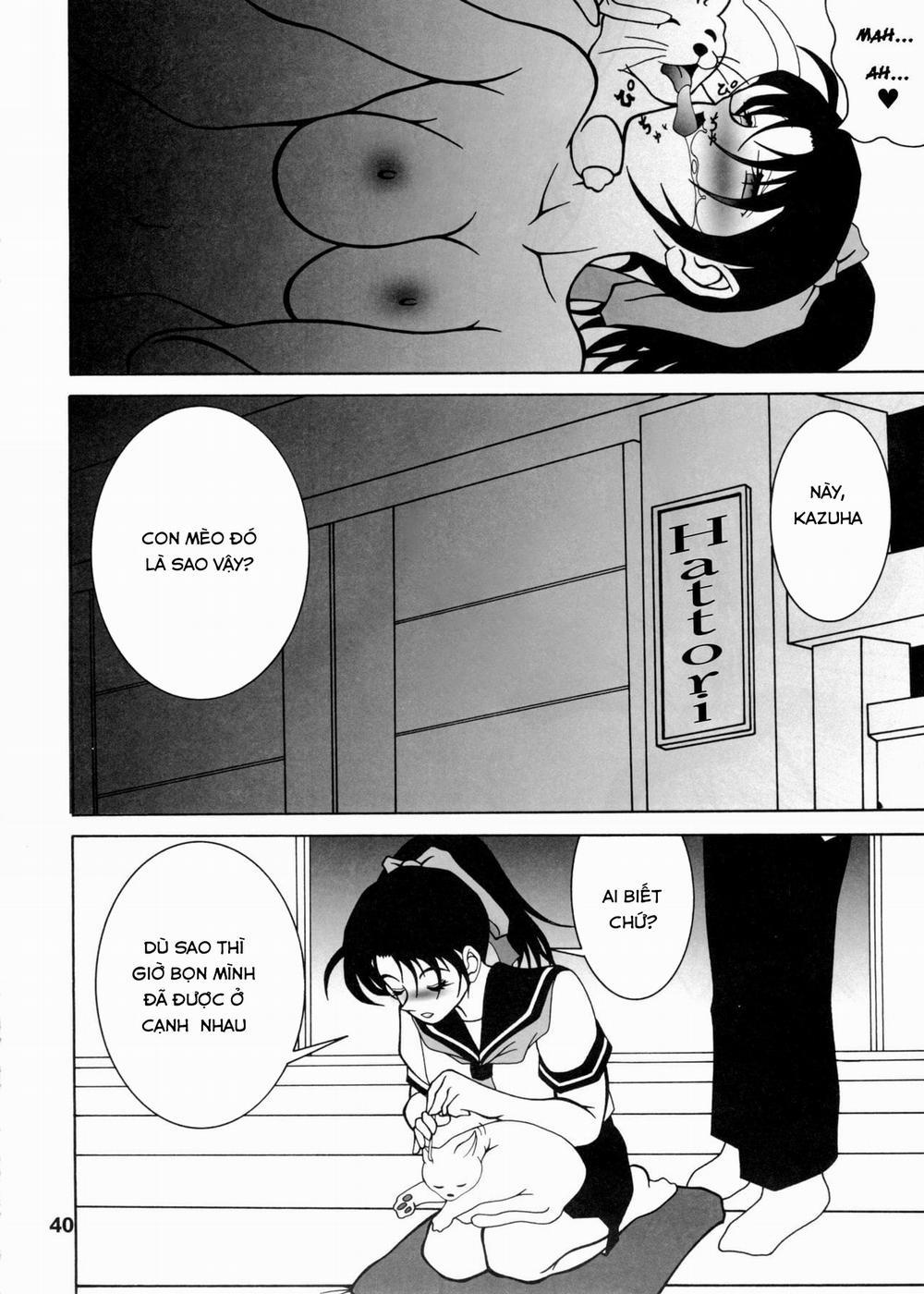 Potemayo vol. 5 (Detective Conan) 2 trang 11