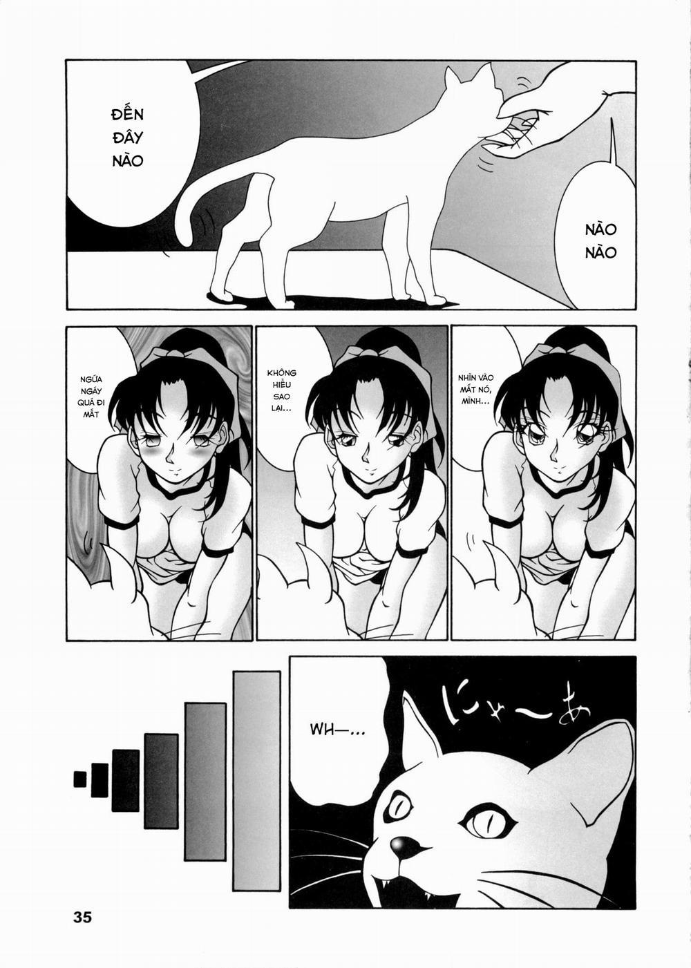 Potemayo vol. 5 (Detective Conan) 2 trang 6