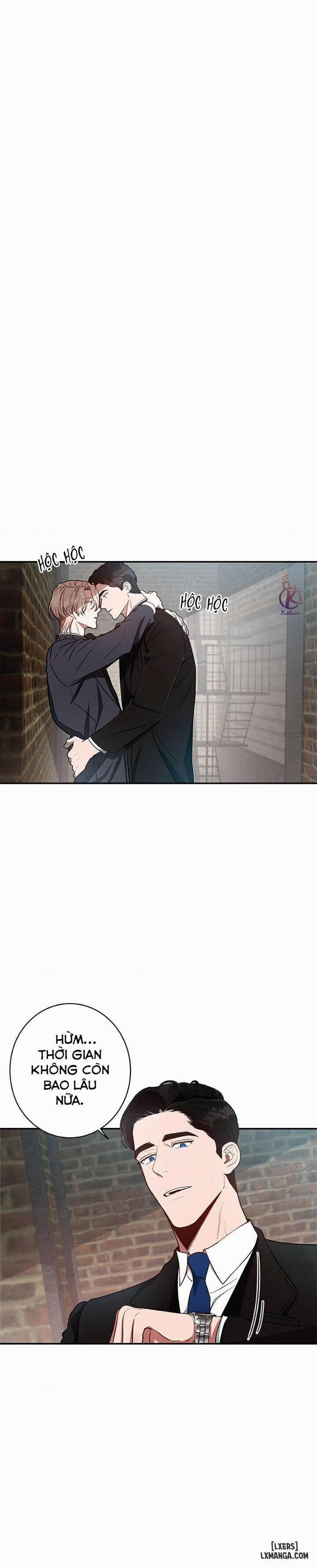 Quả Táo Lớn 11 trang 0