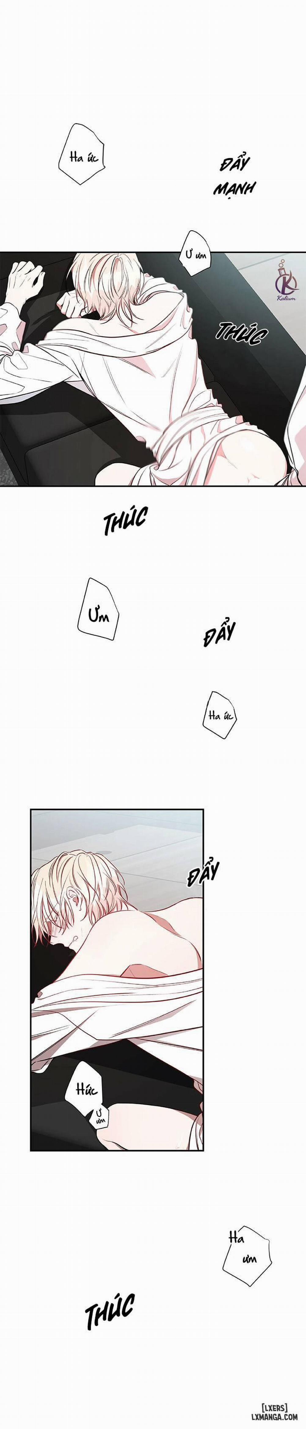 Quả Táo Lớn 13 trang 0