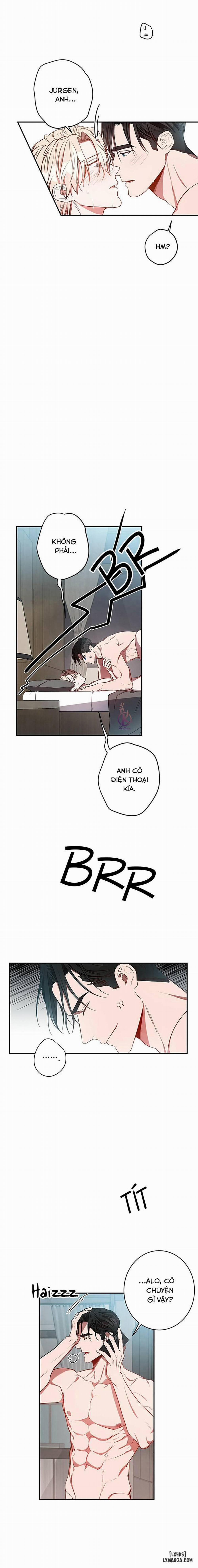 Quả Táo Lớn 14 trang 0