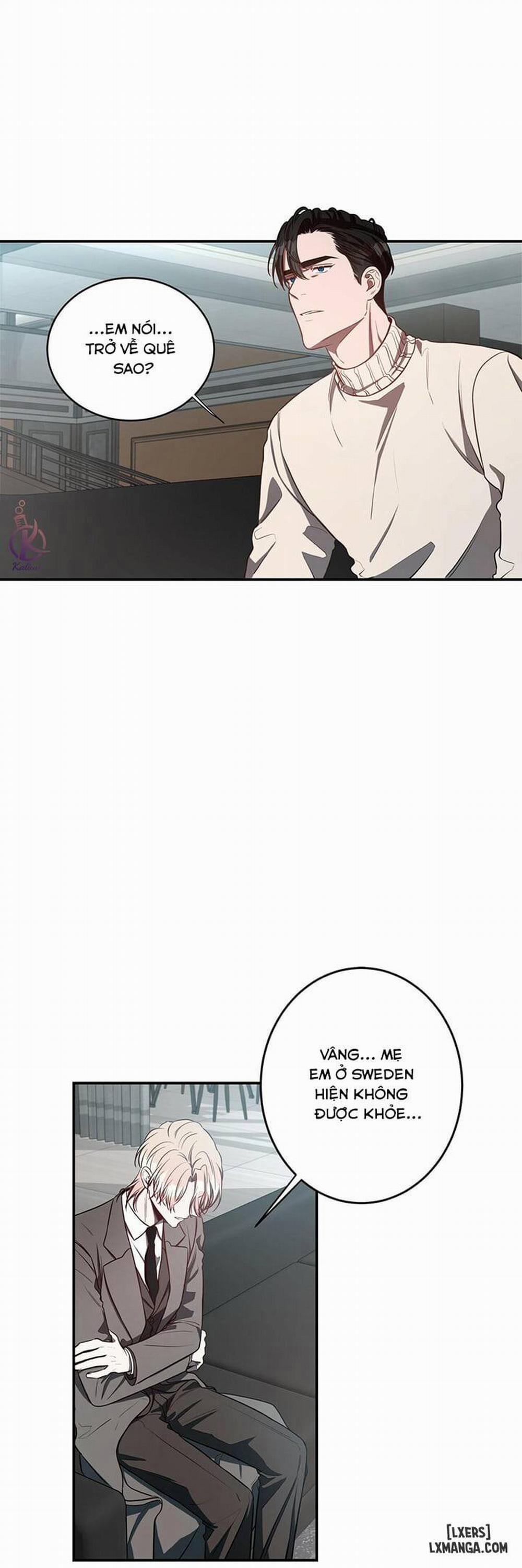 Quả Táo Lớn 16 trang 17