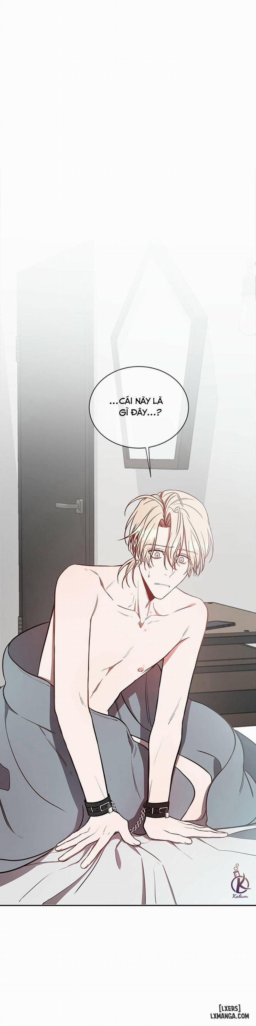 Quả Táo Lớn 17 trang 4