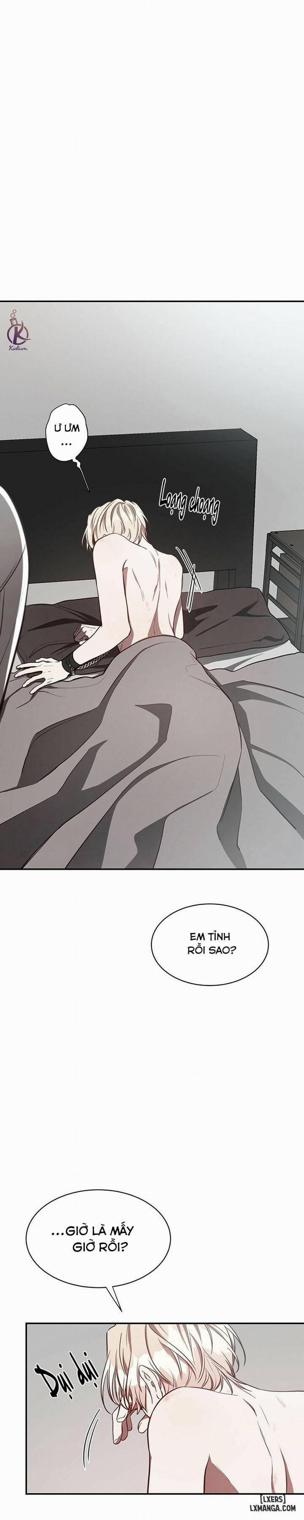 Quả Táo Lớn 19 trang 2