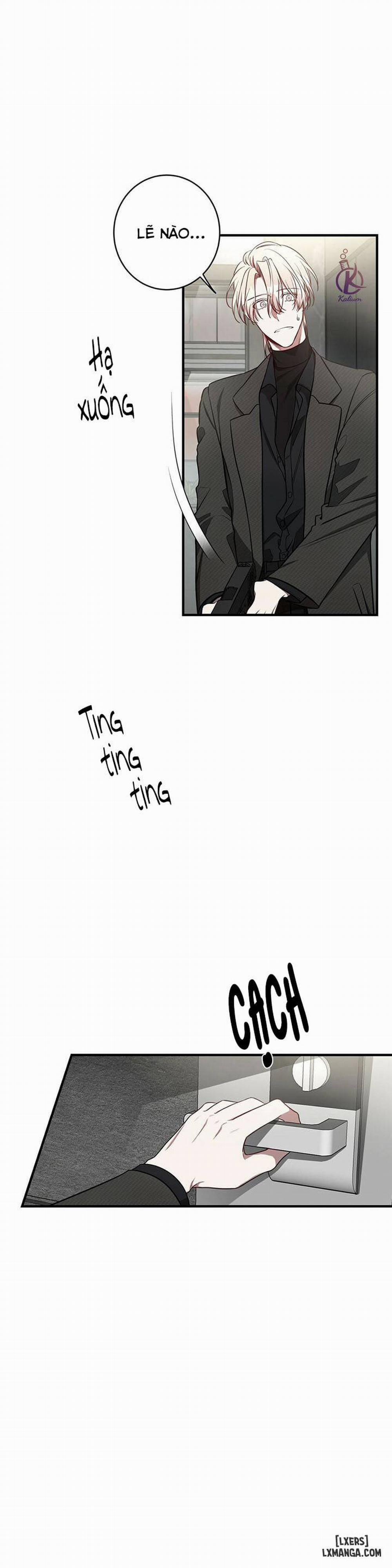 Quả Táo Lớn 24 trang 13