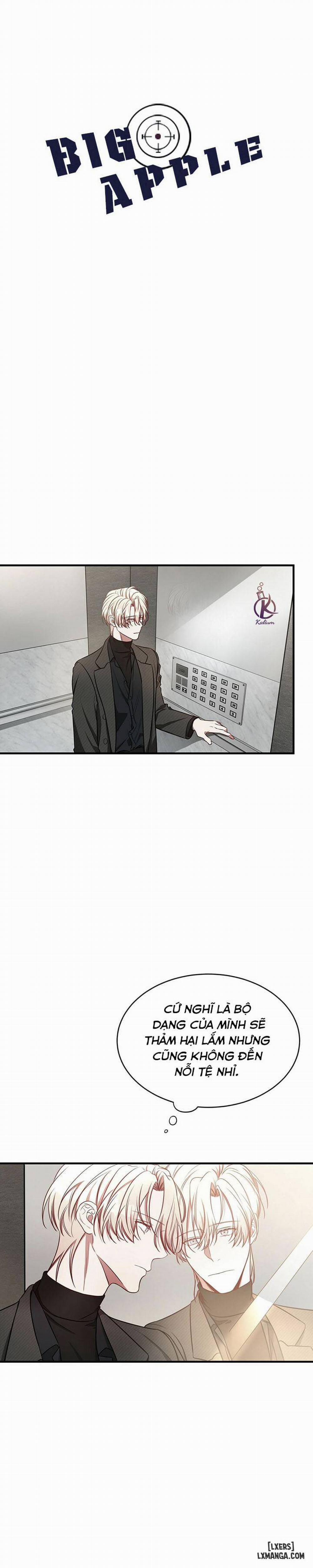 Quả Táo Lớn 24 trang 17