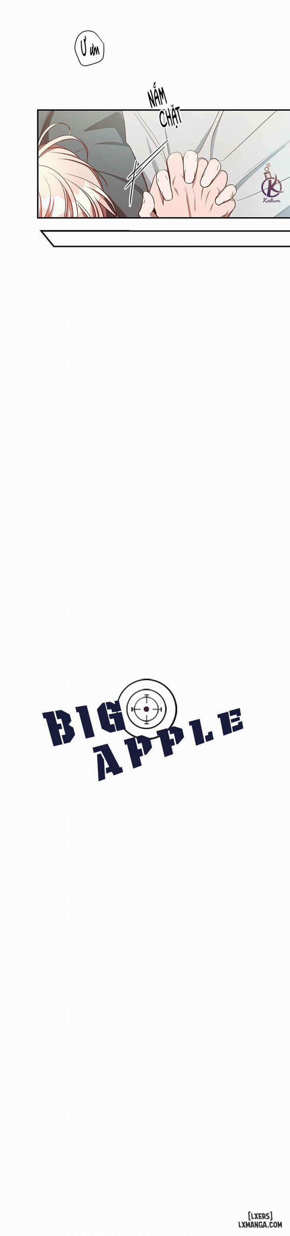 Quả Táo Lớn 27 trang 6