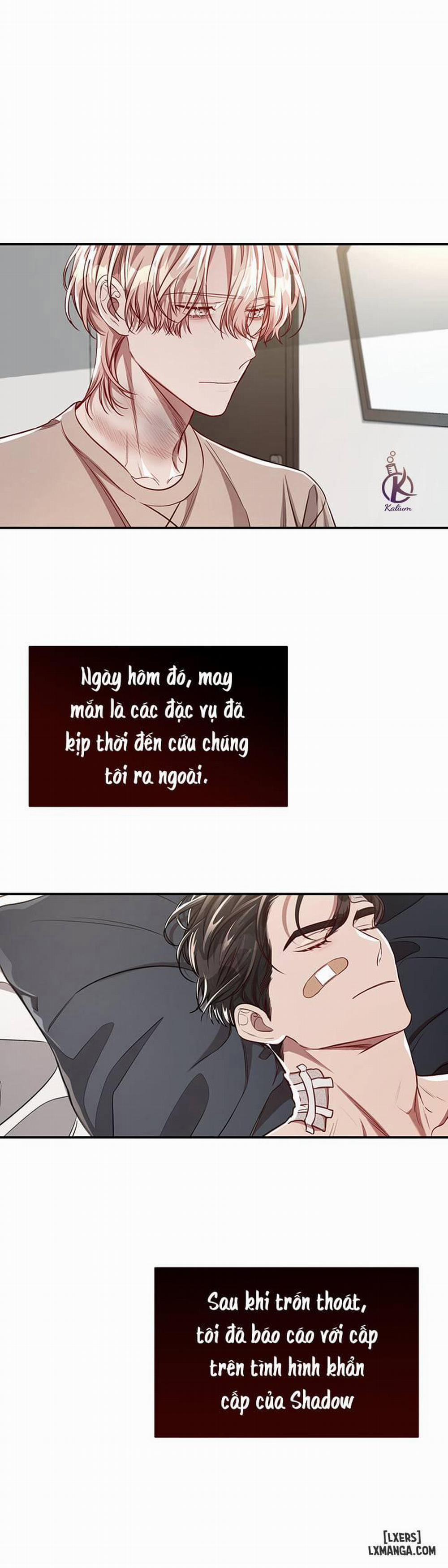 Quả Táo Lớn 37 trang 1